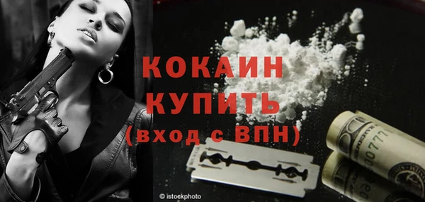 таблы Болотное