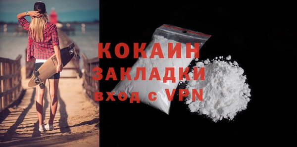 индика Краснотурьинск