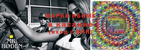 индика Краснотурьинск